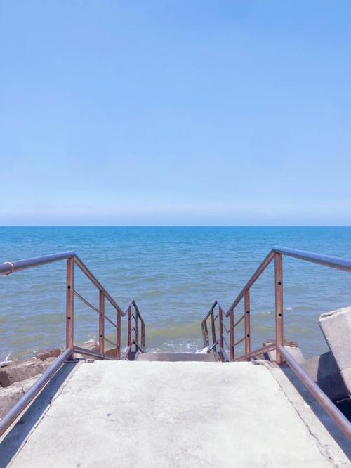 苗栗苑裡有什麼