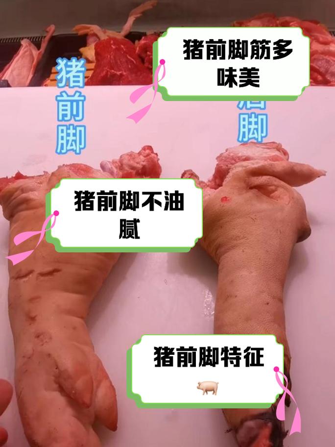 萬巒豬腳要加熱嗎:享受最佳風味的加熱秘訣與保存指南 1 萬巒豬腳要加熱嗎