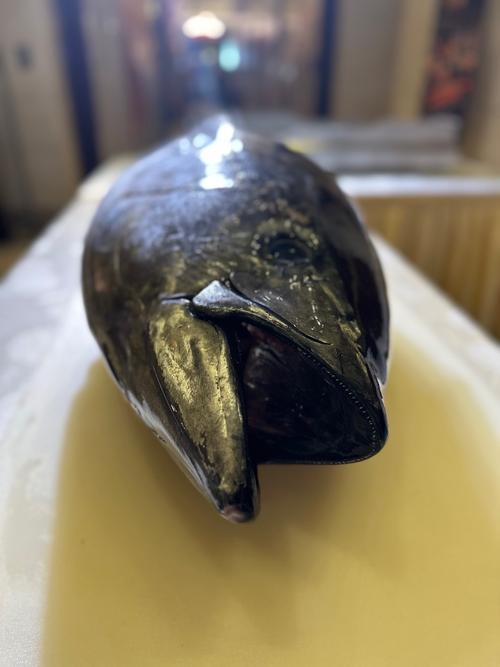 吞拿魚 台灣叫什麼解惑篇:探索台灣鮪魚的多元面貌與文化深度 1 吞拿魚 台灣叫什麼