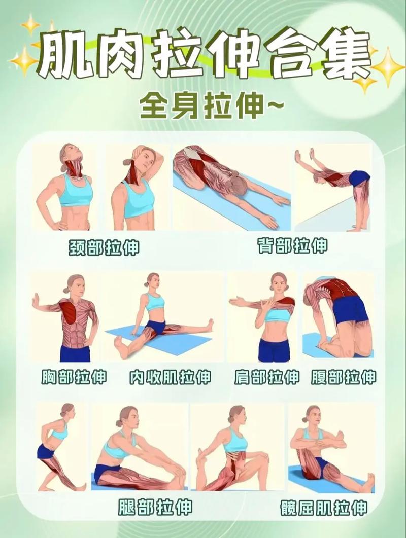 運動後要馬上拉伸嗎