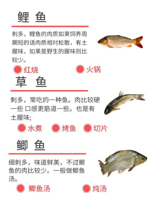 加志魚 刺多嗎