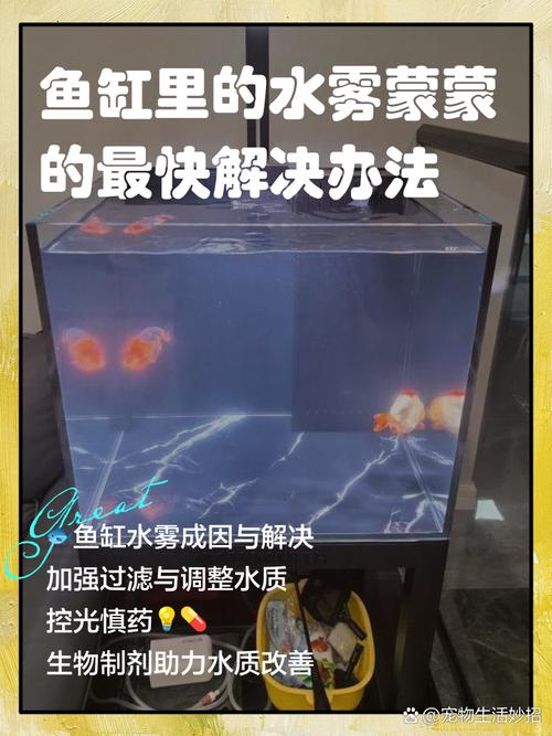 魚缸玻璃霧霧的