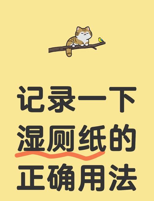 如何減少使用衛生紙