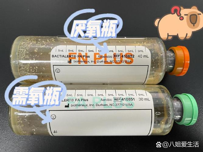 為什麼血液培養要抽兩套