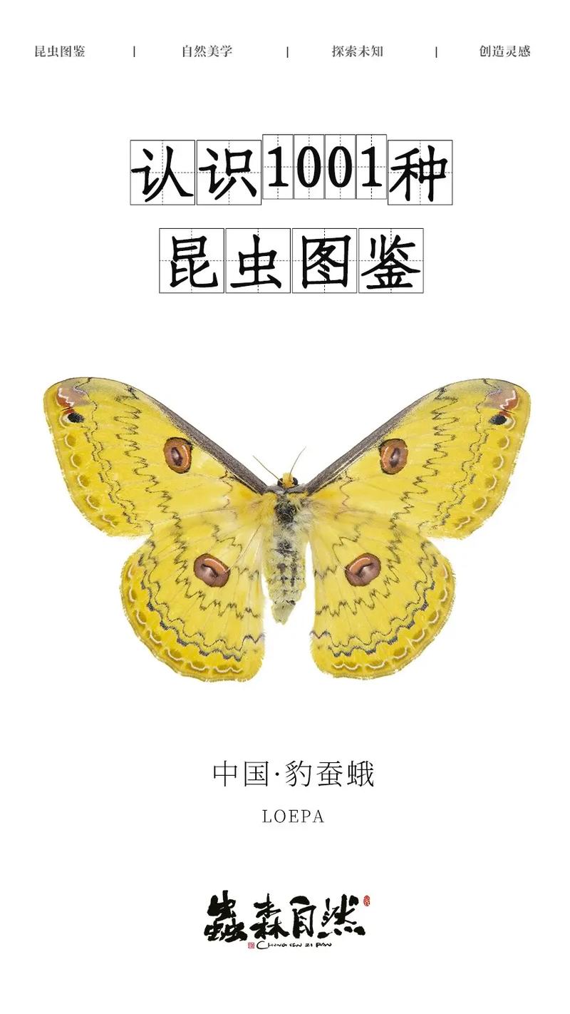 蛾圖鑑