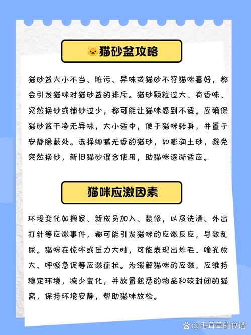 貓咪為什麼會亂尿尿