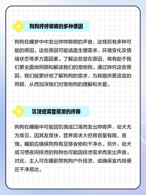 狗狗會夢遺嗎:專業解讀狗狗夜間生理現象與主人應對之道 1 狗狗會夢遺嗎