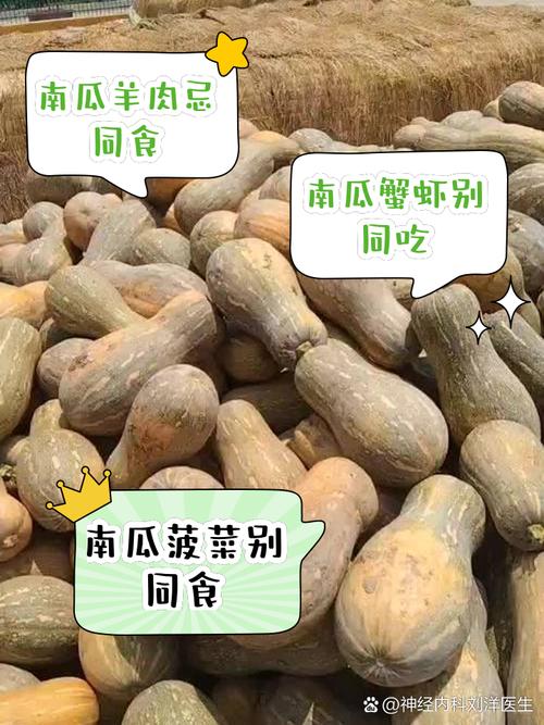 南瓜不能跟什麼東西一起吃:解析南瓜的飲食禁忌與健康搭配指南 3 南瓜不能跟什麼東西一起吃