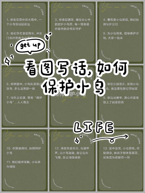 小鳥怎麼照顧