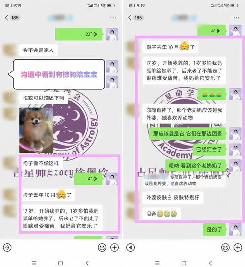 寵物溝通師可以問什麼問題