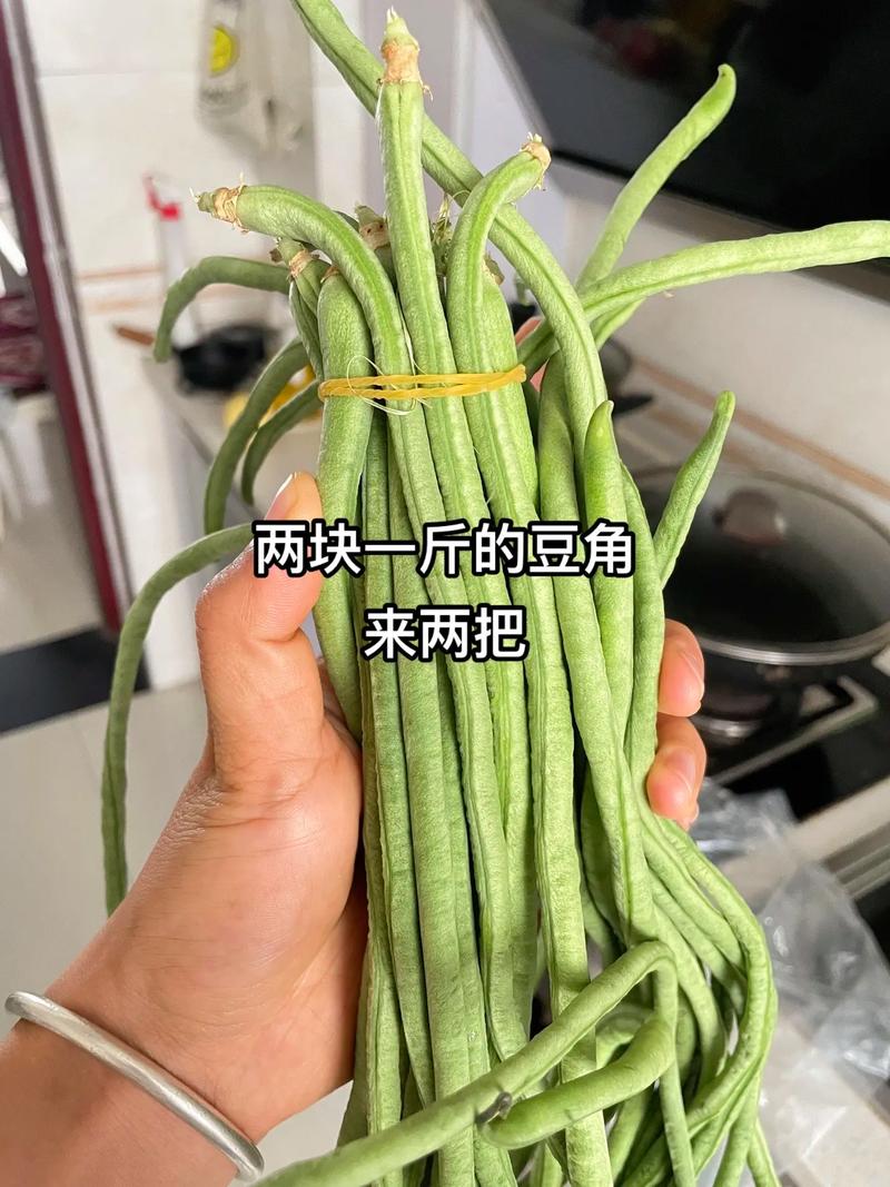 酸豆可以放多久