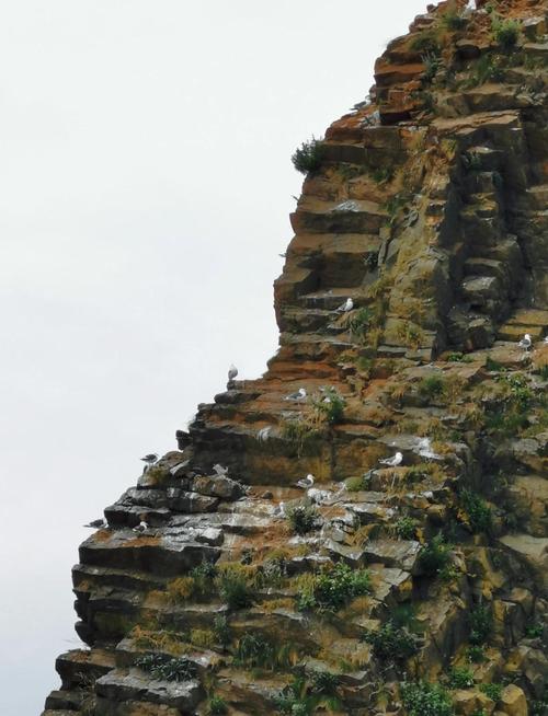 如何去知床半島:交通全攻略,輕鬆探索世界遺產! 1 如何去知床半島