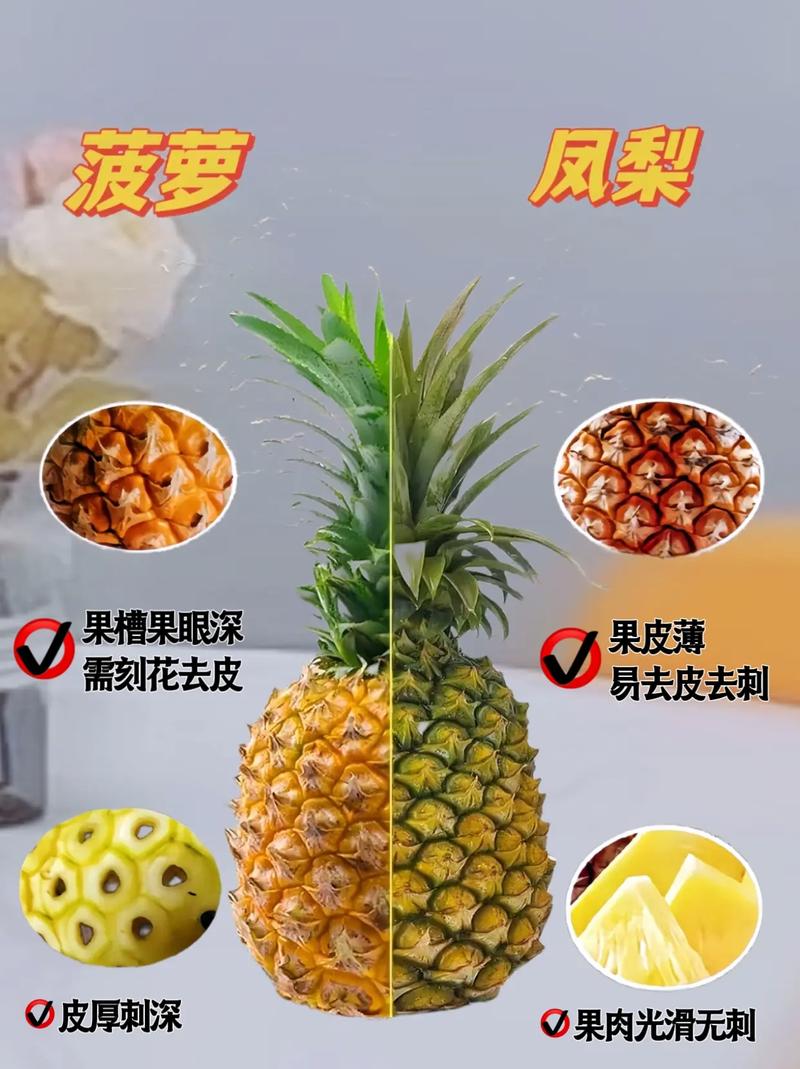 鳳梨哪個部位比較甜:解密鳳梨甜度分佈,輕鬆挑選最甜果肉 3 鳳梨哪個部位比較甜