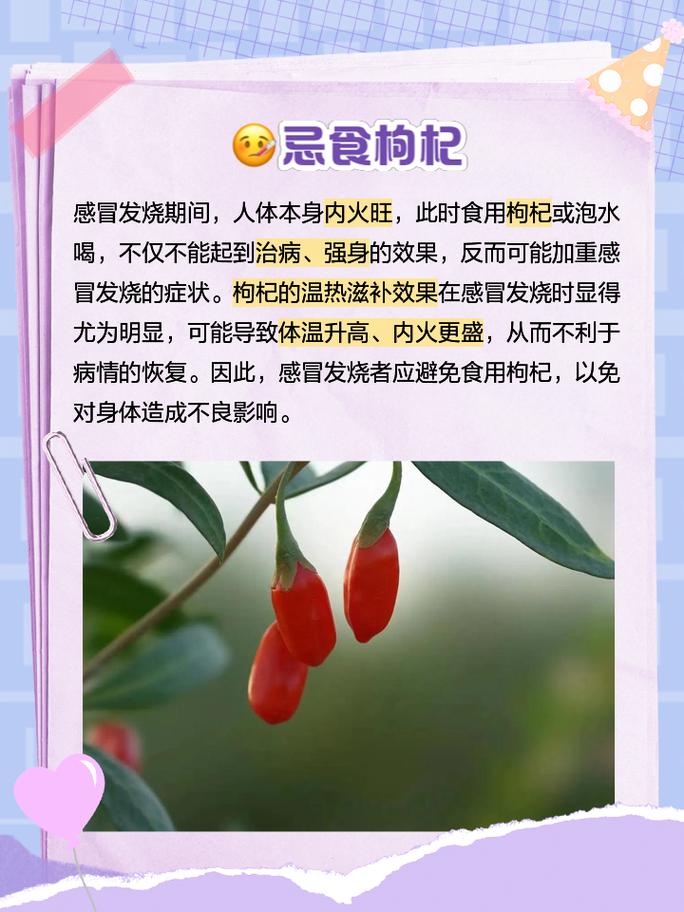 什麼人不適合吃枸杞:這幾類人真的要小心! 1 什麼人不適合吃枸杞