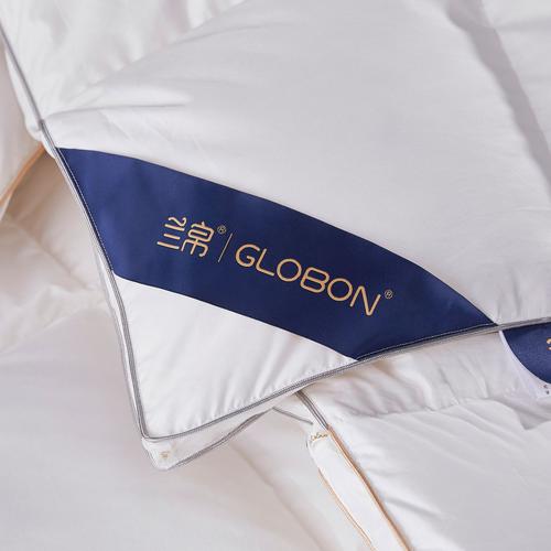 白羅曼鵝哪裡買:台灣購買管道、價格與飼養指南詳解 1 白羅曼鵝哪裡買