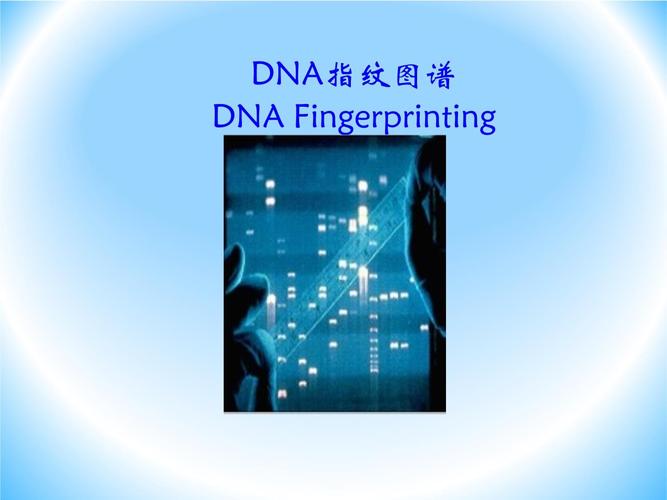 指紋有DNA嗎:解密指紋與DNA的科學關係,從現場到鑑識的完整解析 1 指紋有DNA嗎