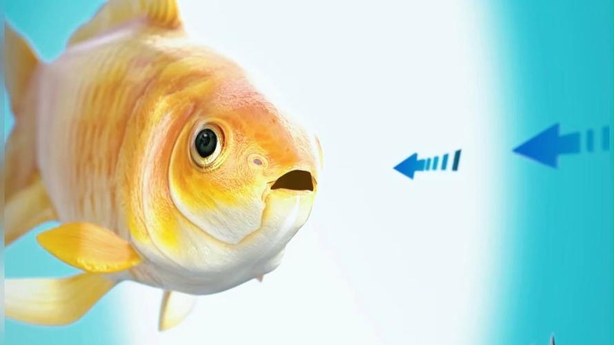 山椒魚用什麼呼吸