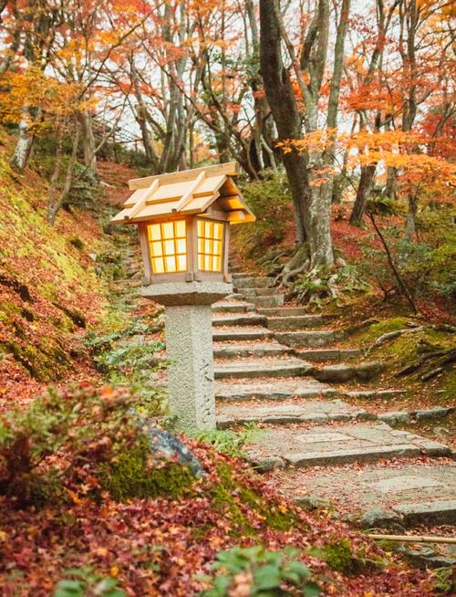 常寂光寺有櫻花嗎