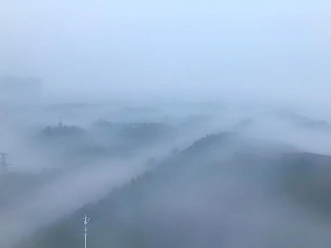 什麼是平流霧:深入解析這種常見的低能見度現象與其對生活的影響 1 什麼是平流霧