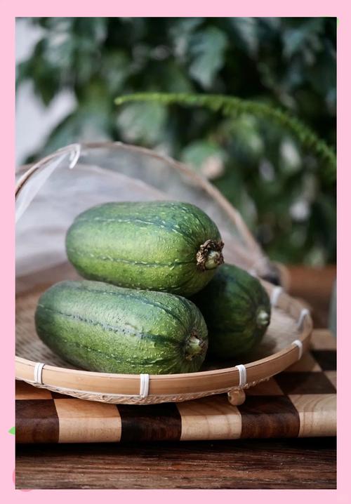 黑金剛絲瓜是蘋果絲瓜嗎:深入解析兩種絲瓜的品種、特性與差異 3 黑金剛絲瓜是蘋果絲瓜嗎