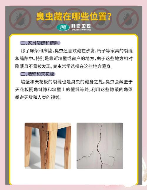 臭蟲躲在哪