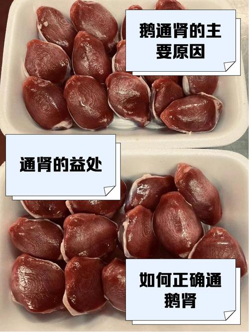 洗腎可以吃鵝肉嗎