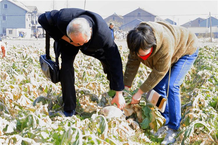 私人土地 可以 設攤 嗎深入解析台灣土地使用規範與設攤許可 3 私人土地 可以 設攤 嗎