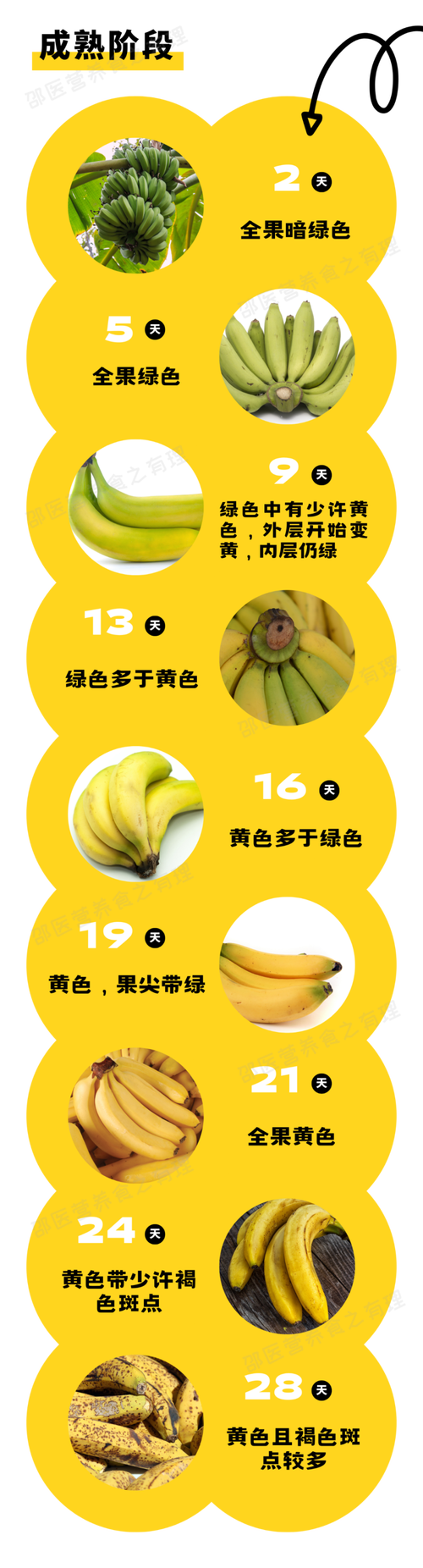 低渣可以吃香蕉嗎