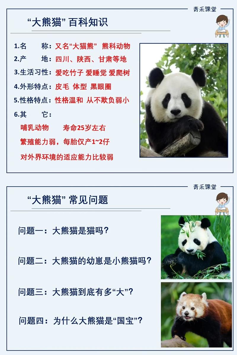 為什麼熊貓叫熊貓:探究國寶的名稱奧秘與文化淵源 3 為什麼熊貓叫熊貓