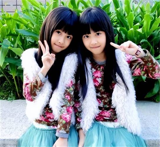 台灣平均一個家庭幾個小孩