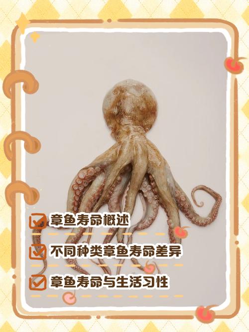 章魚智商幾歲:深探海洋奇才的非凡智慧與學習能力 3 章魚智商幾歲