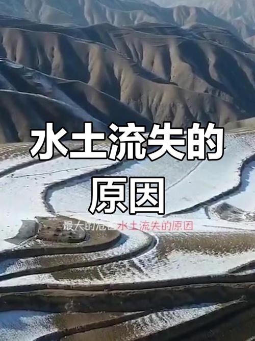 黃土水經歷過什麼事