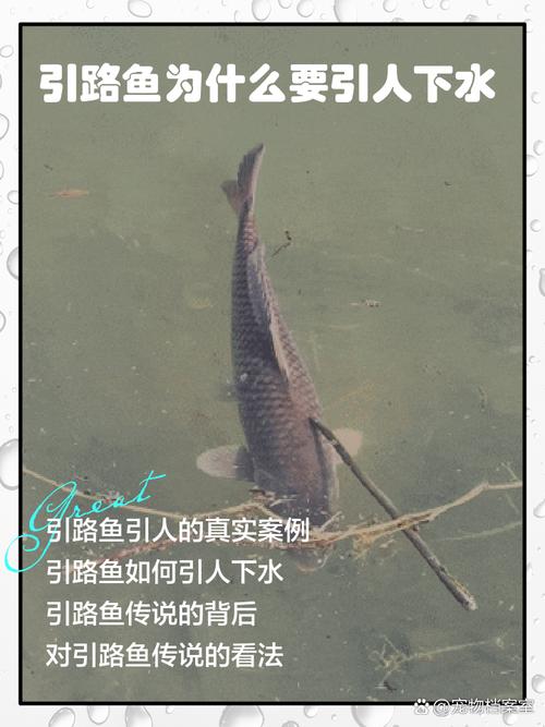 為什麼下水叫下水