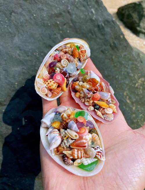 澎湖可以撿貝殼嗎:探索秘境、法律規範與永續撿拾指南 3 澎湖可以撿貝殼嗎