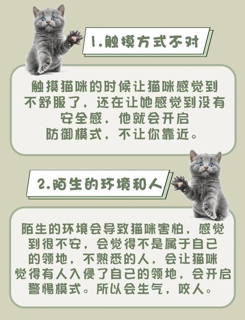 貓咪不能碰到什麼
