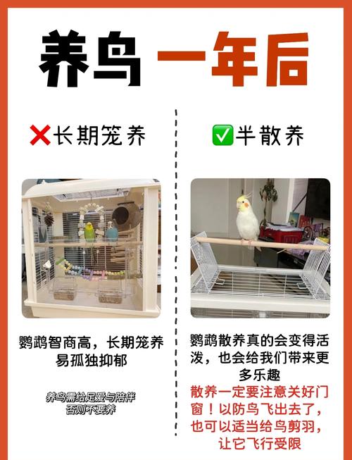 如何不讓鳥築巢