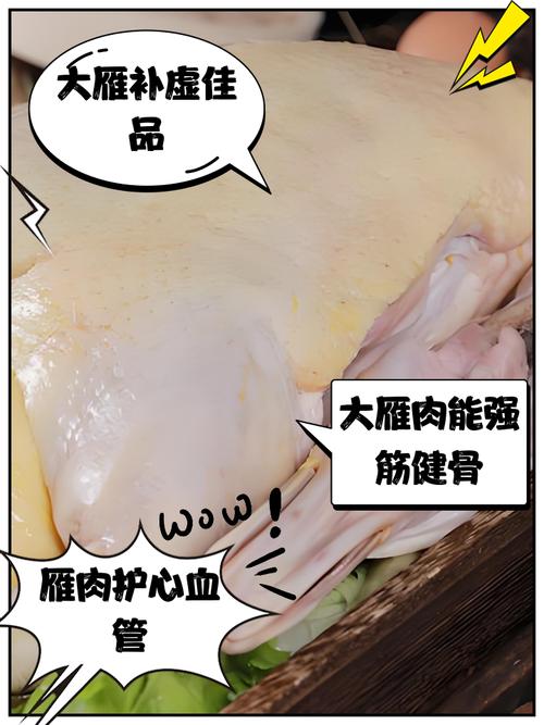 大雁吃什麼:深入解析雁類的日常飲食、季節變化與餵食指南 1 大雁吃什麼