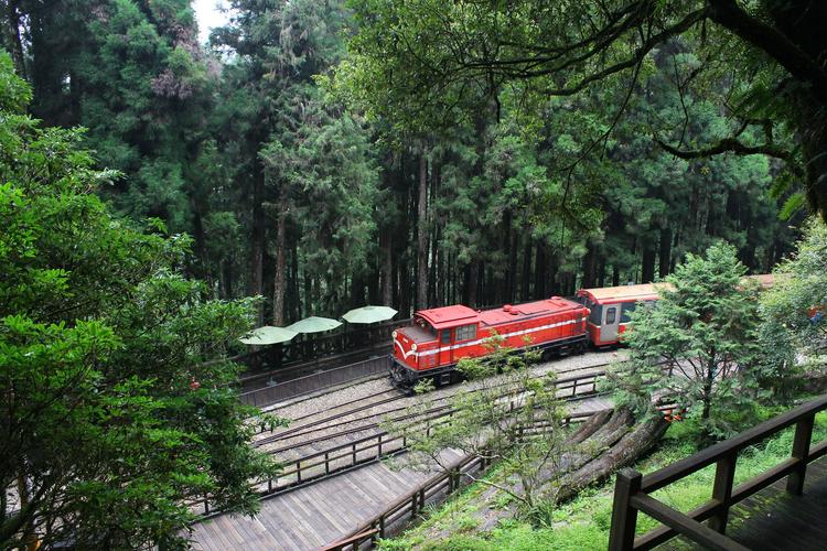 阿里山火車哪一段最美
