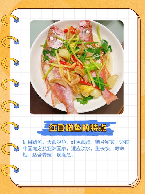 紅目鰱怎麼煎
