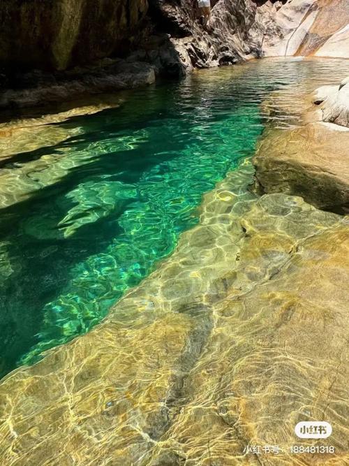 碧潭的水乾淨嗎