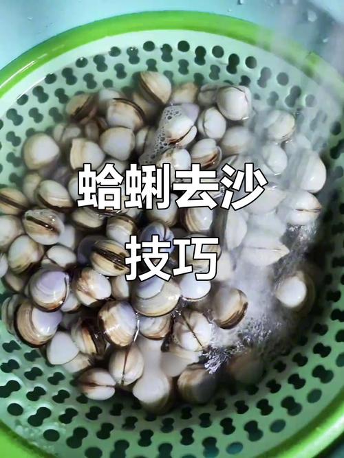 蛤蜊為什麼會吐沙
