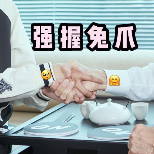 為什麼兄弟是爪迷