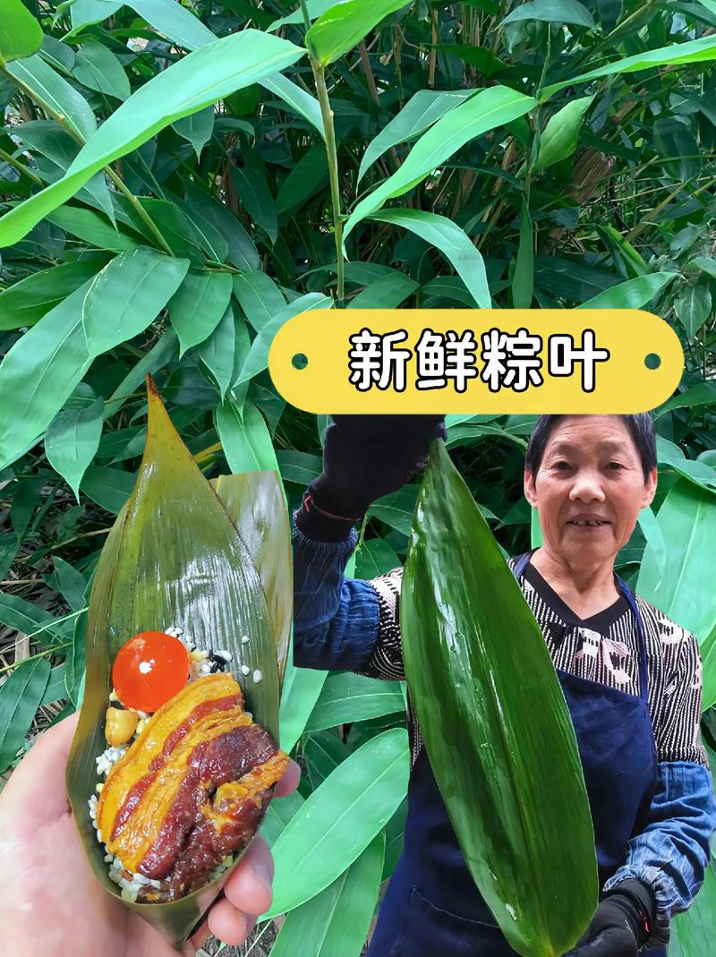 粽葉一定要泡嗎:包粽子前的關鍵步驟與注意事項 1 粽葉一定要泡嗎