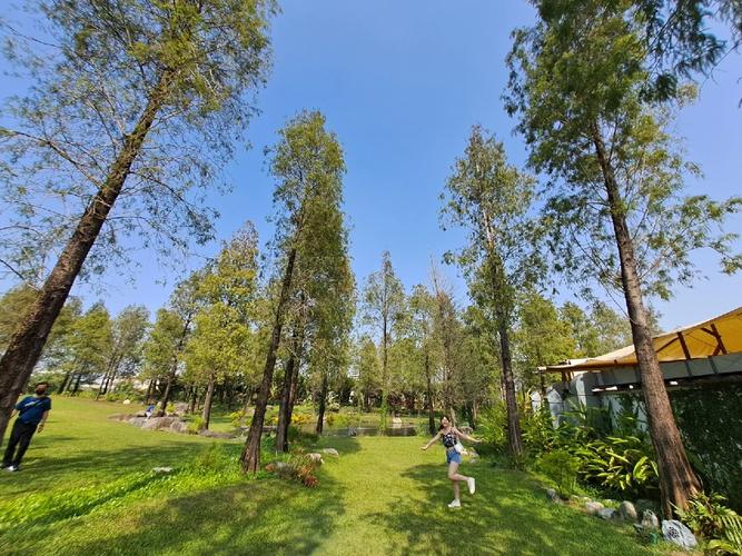 淨園農場 晚上可以去嗎:夜間營業時間、票價與必玩亮點全解析 1 淨園農場 晚上可以去嗎