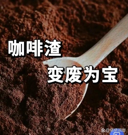 咖啡渣能洗頭嗎:深究咖啡渣對頭皮頭髮的功效、風險與正確用法 1 咖啡渣能洗頭嗎