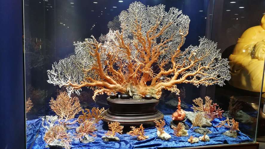 福爾摩沙是台灣嗎