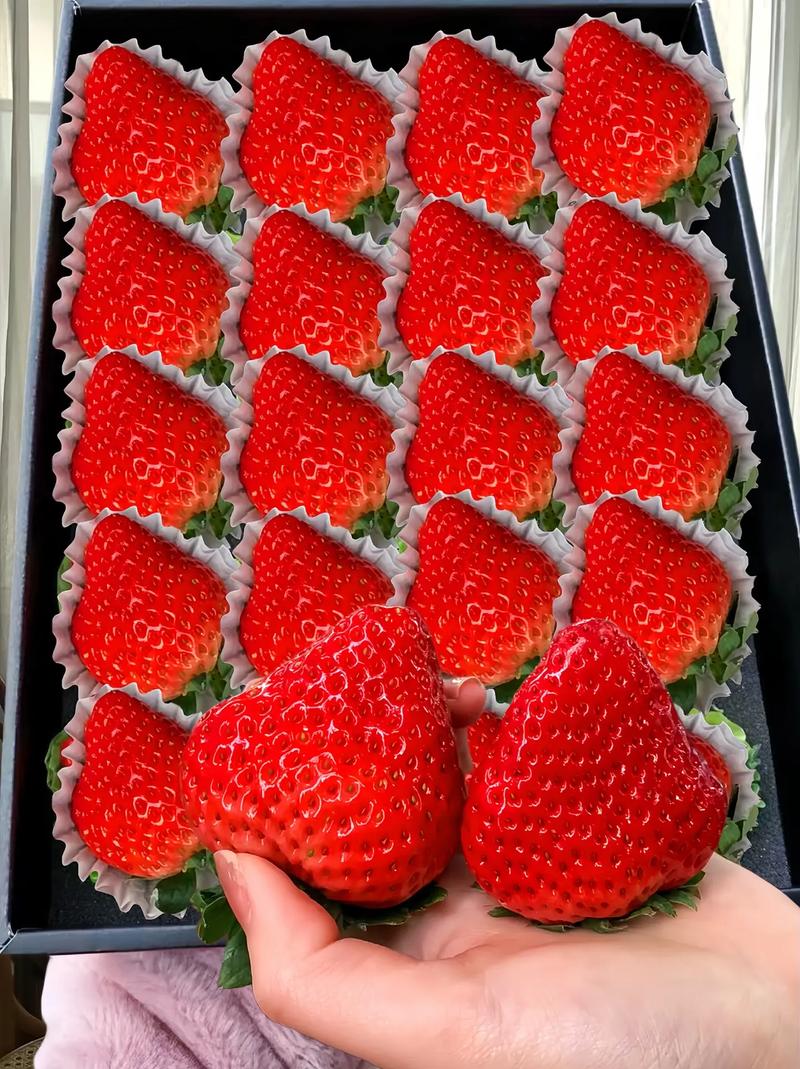 大湖還有草莓嗎