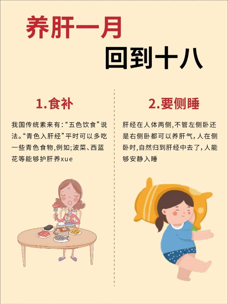 怎麼把肝養好:從日常飲食到生活習慣的全方位保肝指南 3 怎麼把肝養好