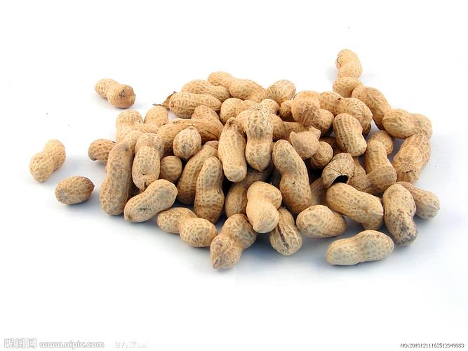 歐洲有花生嗎 - 深入探討歐洲花生種植、消費與市場 1 歐洲有花生嗎