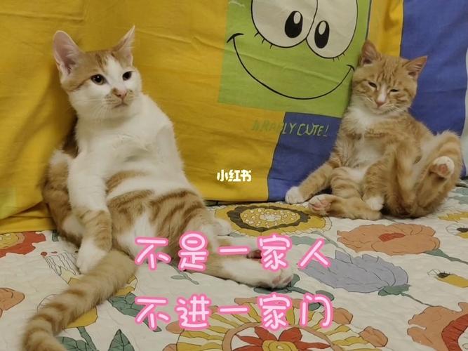 不是一家人不進一家門